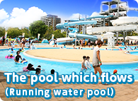 The pool that flows one lap 150m. Pool flow of minute speed 30m is fun.