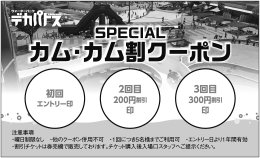カム割